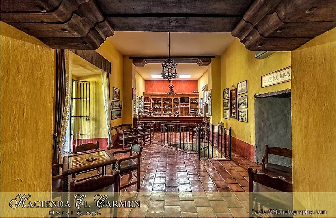 Hacienda El Carmen Hotel & Spa-1
